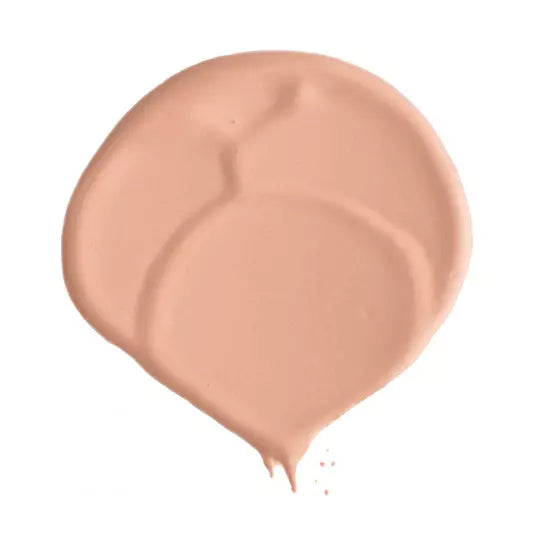 Absolution - Le multi correcteur