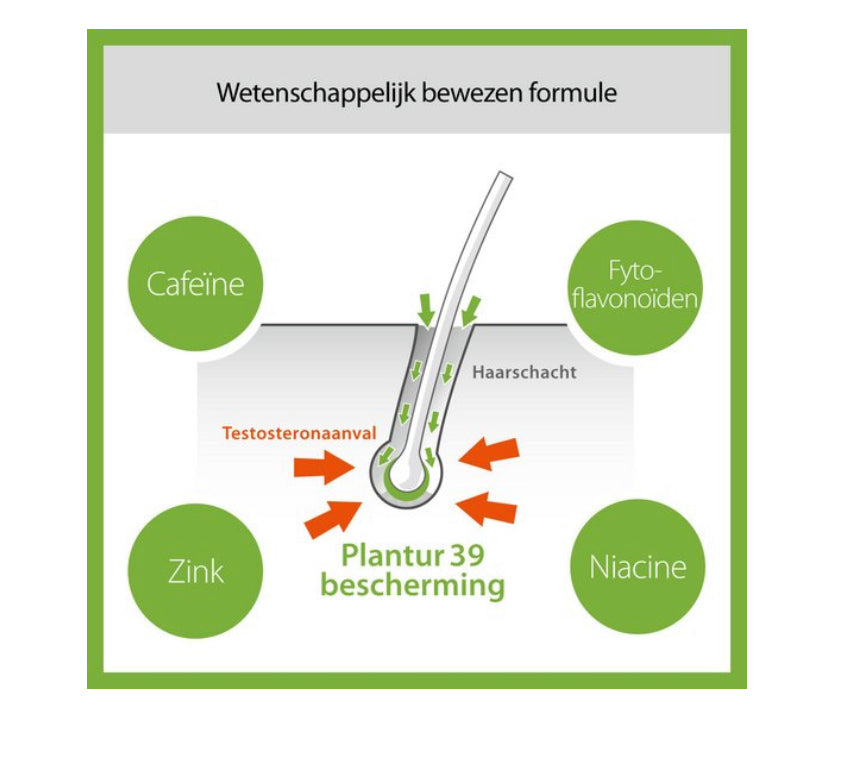 Alcina plantur- Fyto-cafeïne-tonic